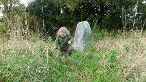 cardrona standing stone 